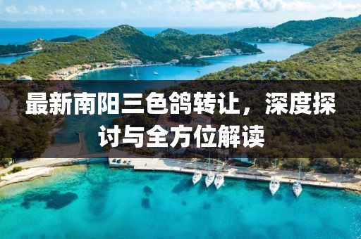 最新南阳三色鸽转让，深度探讨与全方位解读