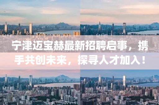 宁津迈宝赫最新招聘启事，携手共创未来，探寻人才加入！