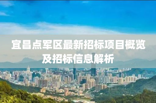宜昌点军区最新招标项目概览及招标信息解析