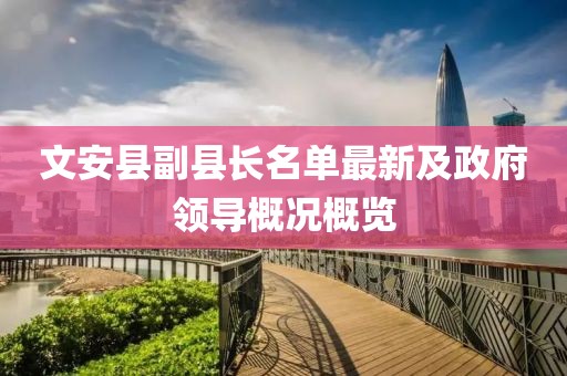 文安县副县长名单最新及政府领导概况概览