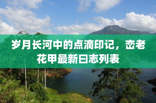 旧行李 第29页