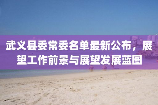 武义县委常委名单最新公布，展望工作前景与展望发展蓝图