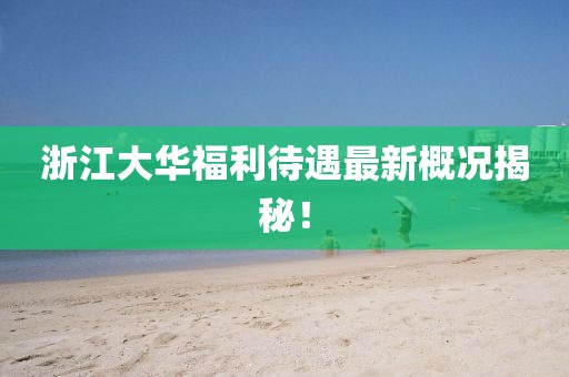 浙江大华福利待遇最新概况揭秘！