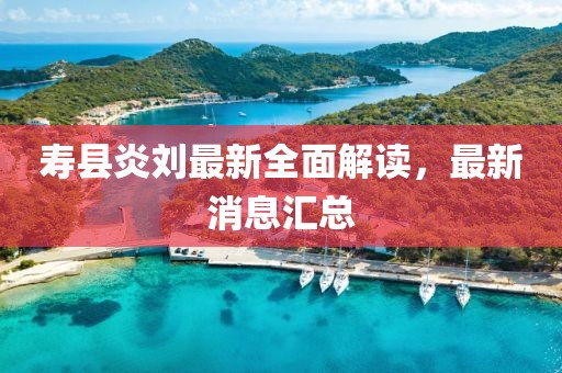 寿县炎刘最新全面解读，最新消息汇总