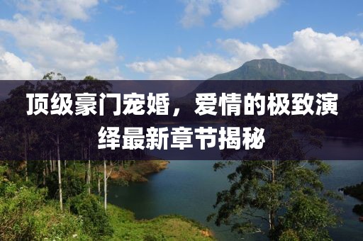 顶级豪门宠婚，爱情的极致演绎最新章节揭秘