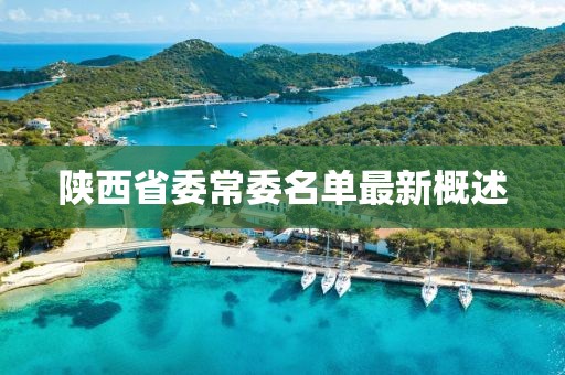 陕西省委常委名单最新概述
