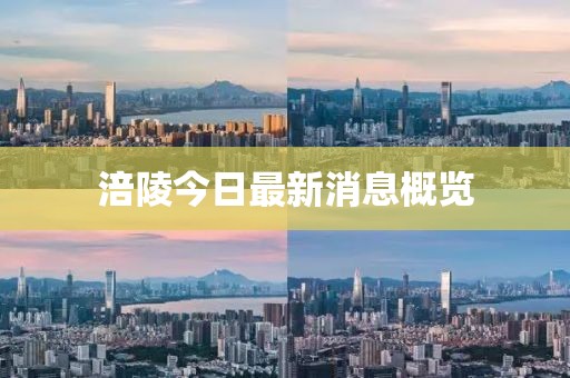 涪陵今日最新消息概览