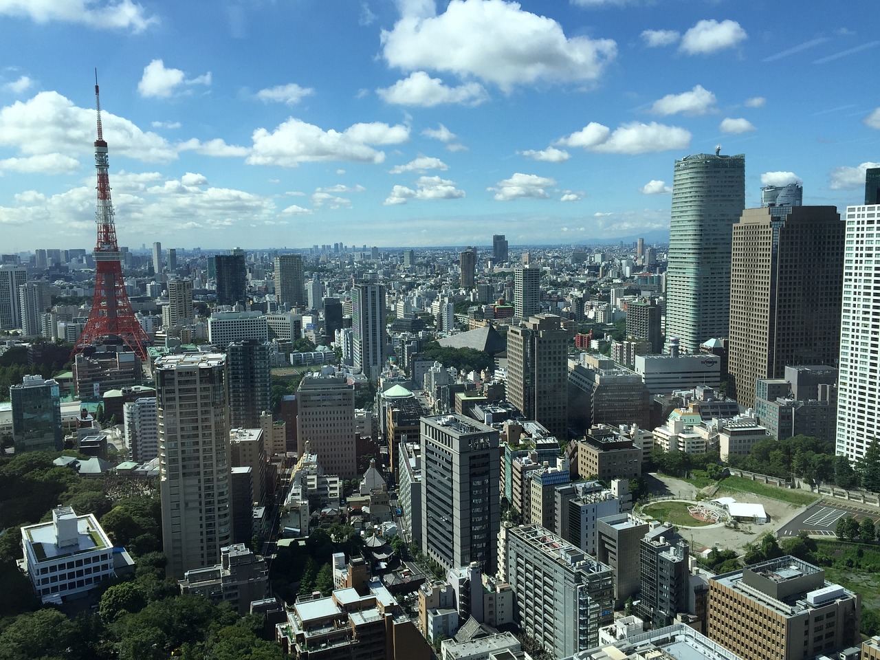NBA最新动态解析，狂言之域