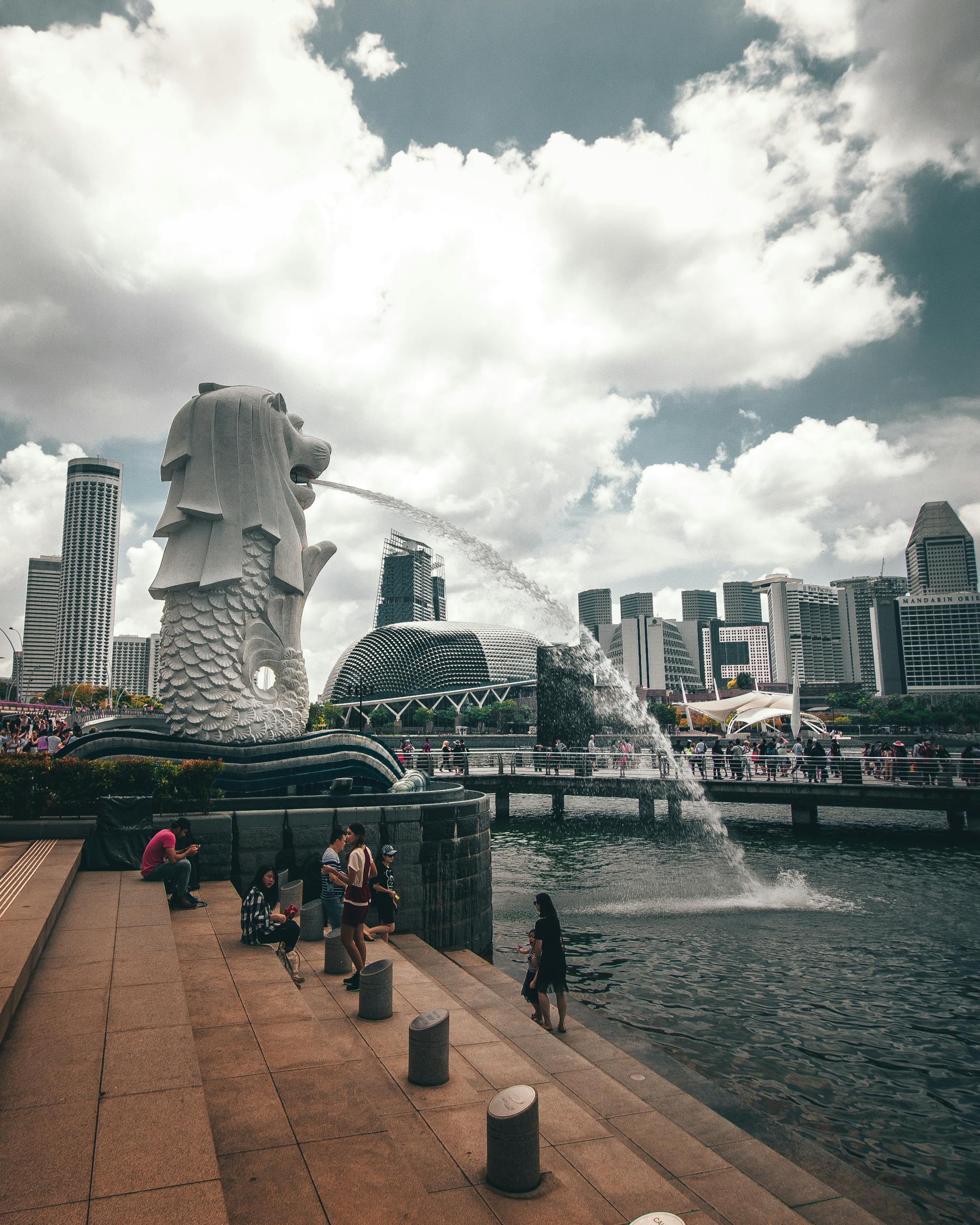 蔚县最新楼盘，现代都市生活的理想选择之地