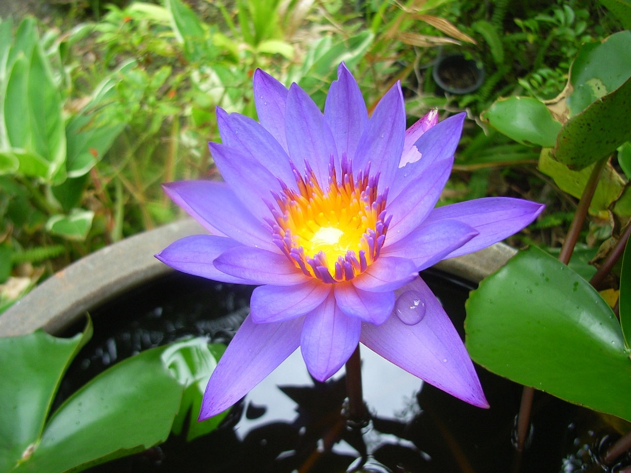 江西莲花最新新闻报道