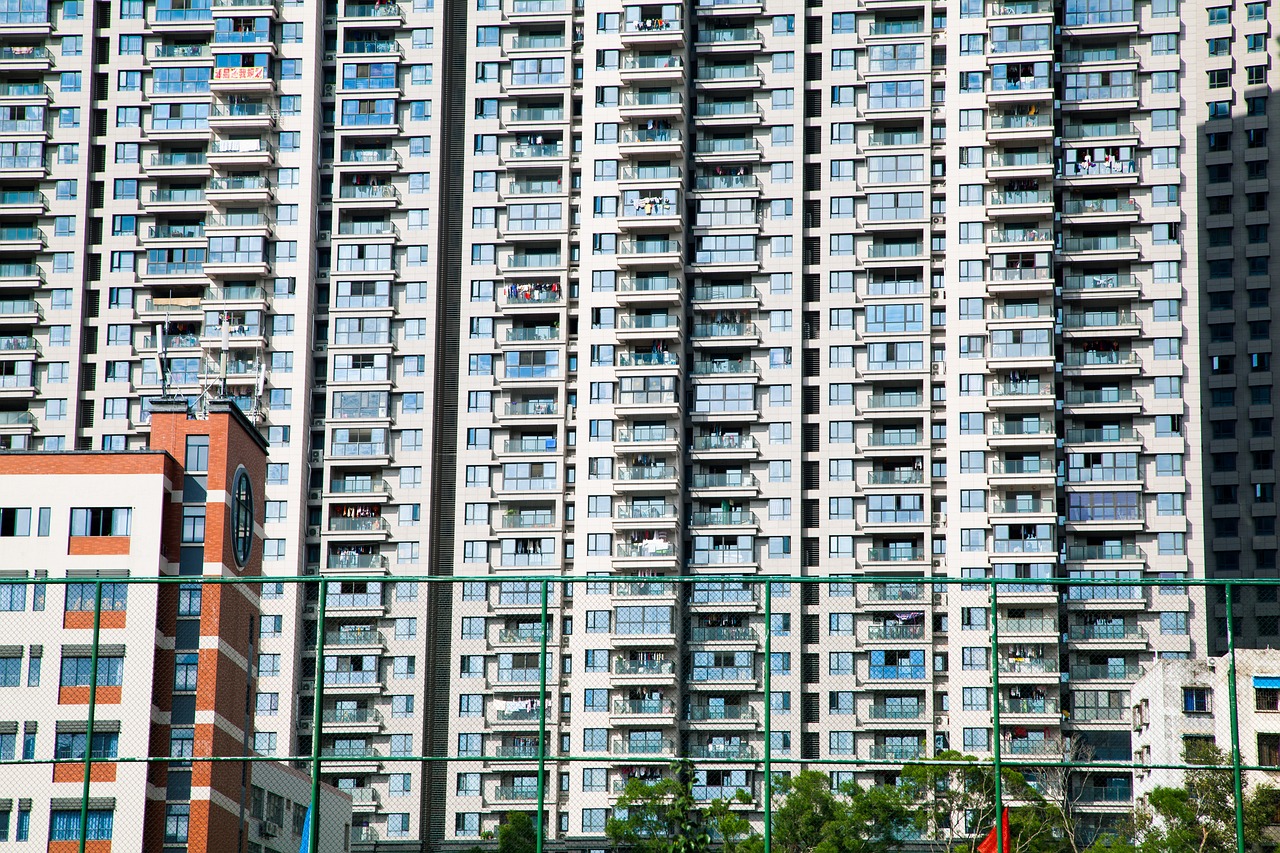 新双塔纳最新报价及市场趋势深度解析