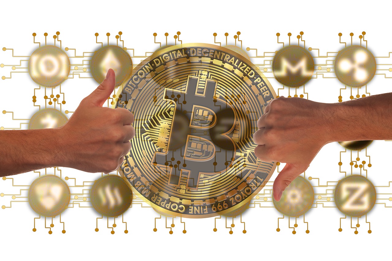 云南糖网白糖价格动态分析与最新报价
