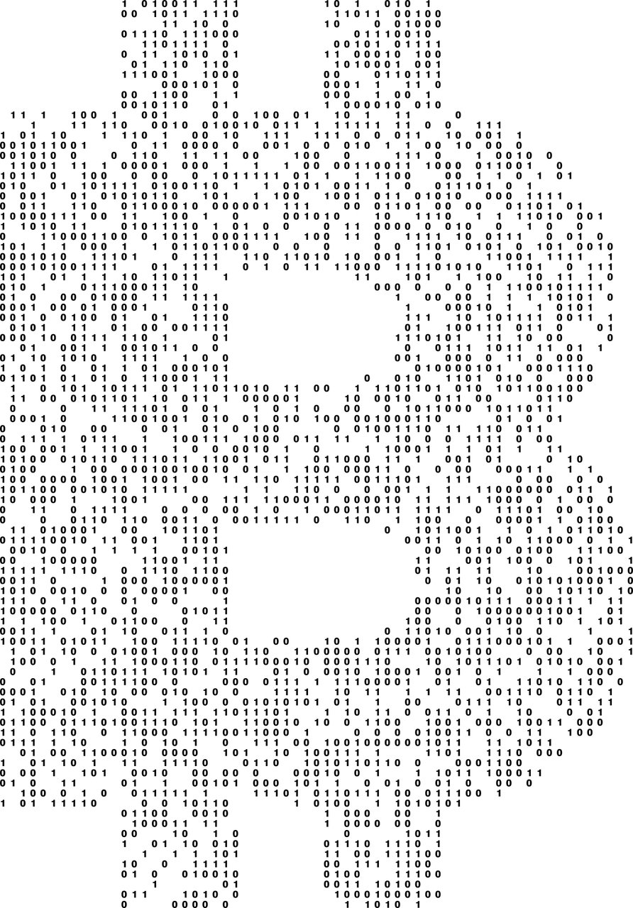 中华币最新动态揭秘，数字货币新纪元探索（2017年更新）