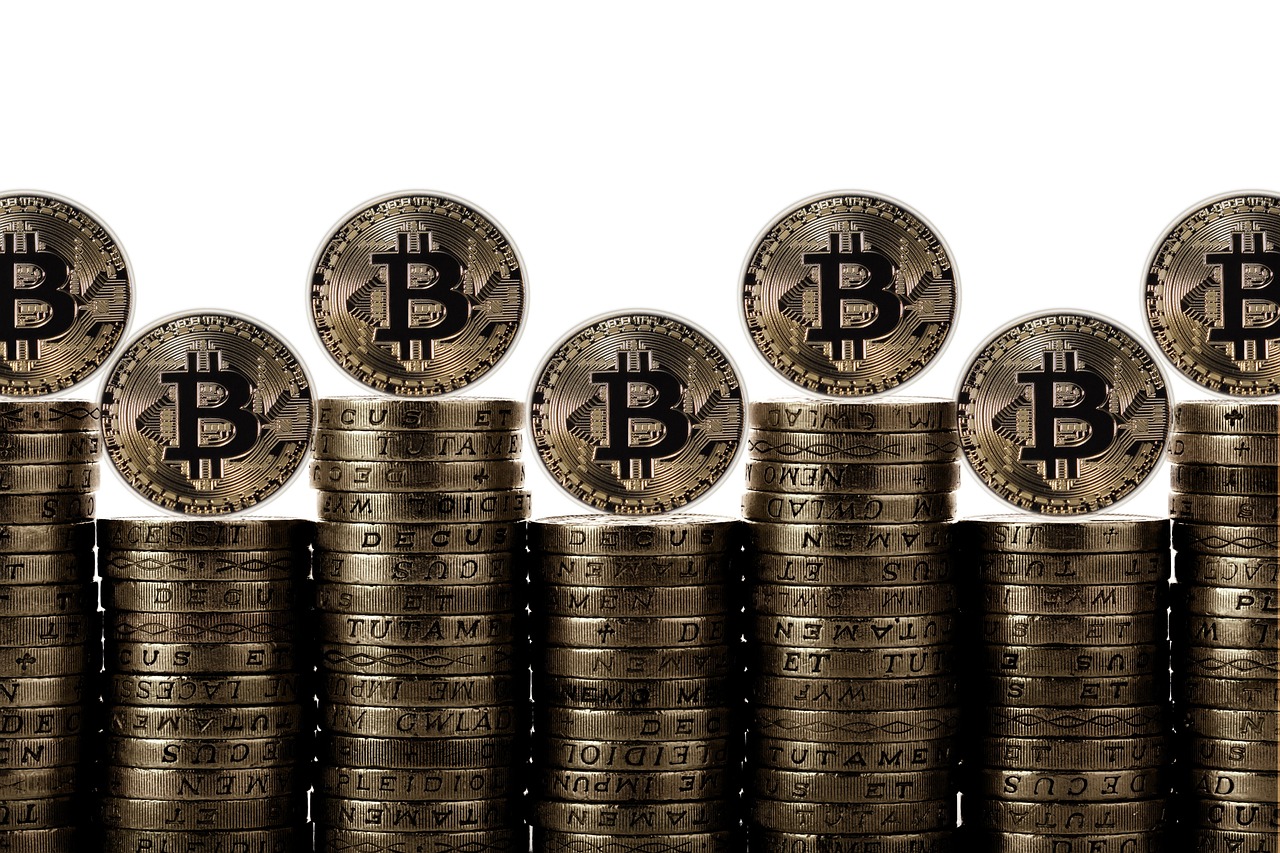 互联网加时代下的基金最新净值动态解析