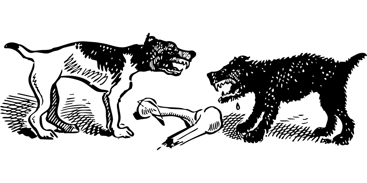 九赛沟自然美景新篇章，最新动态与消息速递