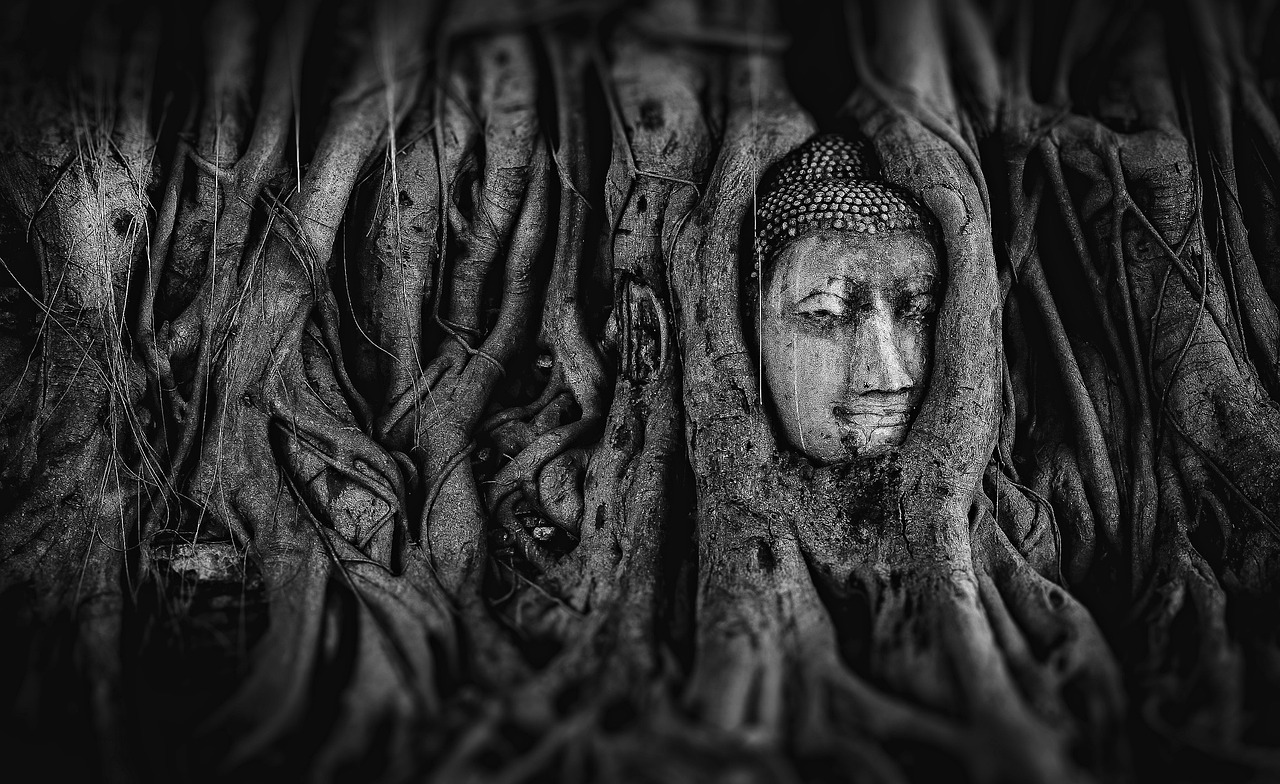 神秘之旅继续探索，我的狐仙老婆最新章节