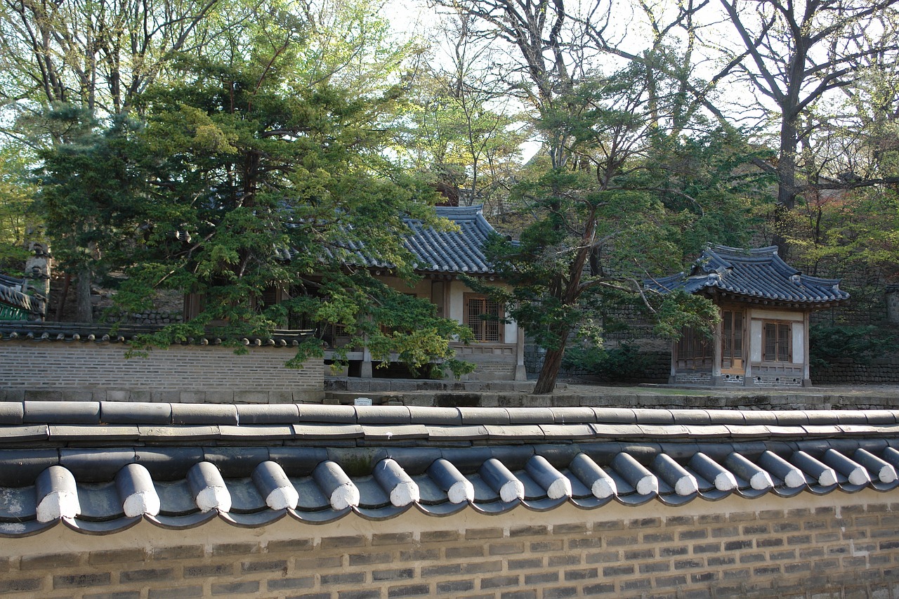 韩国乐天事件最新动态及影响与前景展望