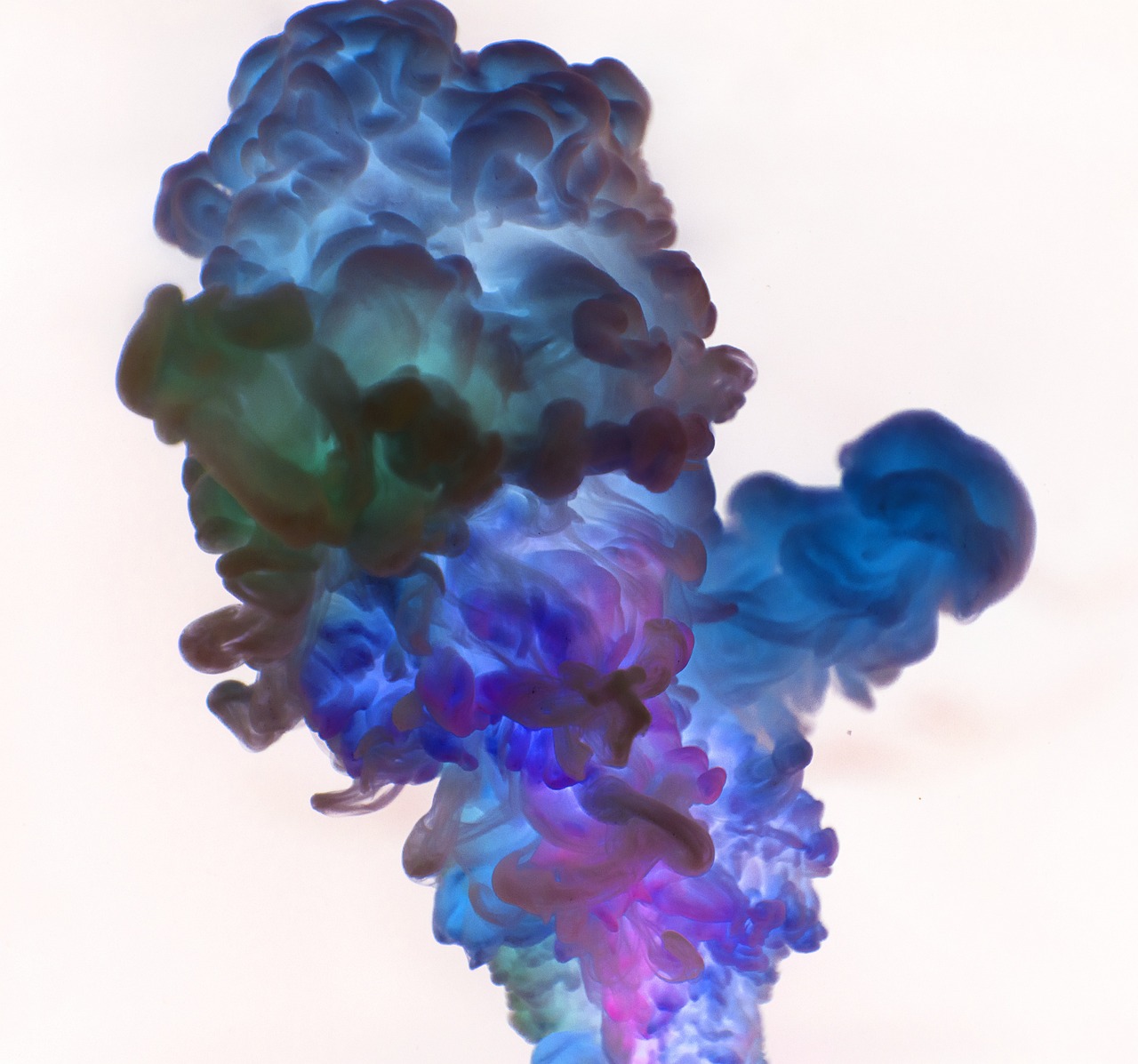 华硕最新手机，科技与艺术的完美融合